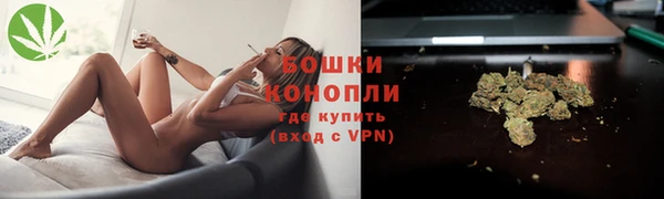 амф Осинники