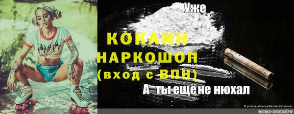 ГАЛЛЮЦИНОГЕННЫЕ ГРИБЫ Остров