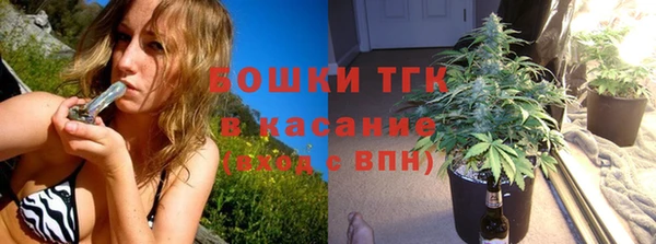 амф Осинники