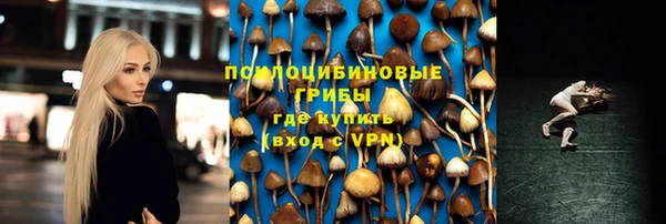 ГАЛЛЮЦИНОГЕННЫЕ ГРИБЫ Остров