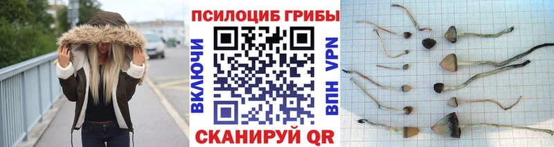Галлюциногенные грибы GOLDEN TEACHER  Купить закладки  Кстово 